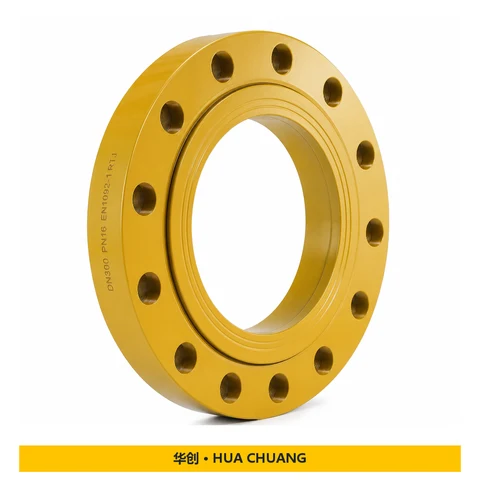 Pipe flanges — EN 1092-1 · DN300 · PN6-PN40 · RTJ