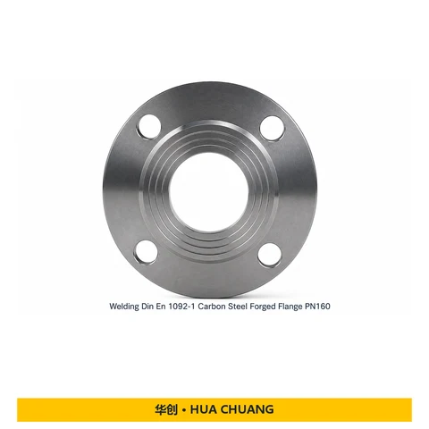 Pipe flanges — EN 1092-1 · Carbon steel · PN160